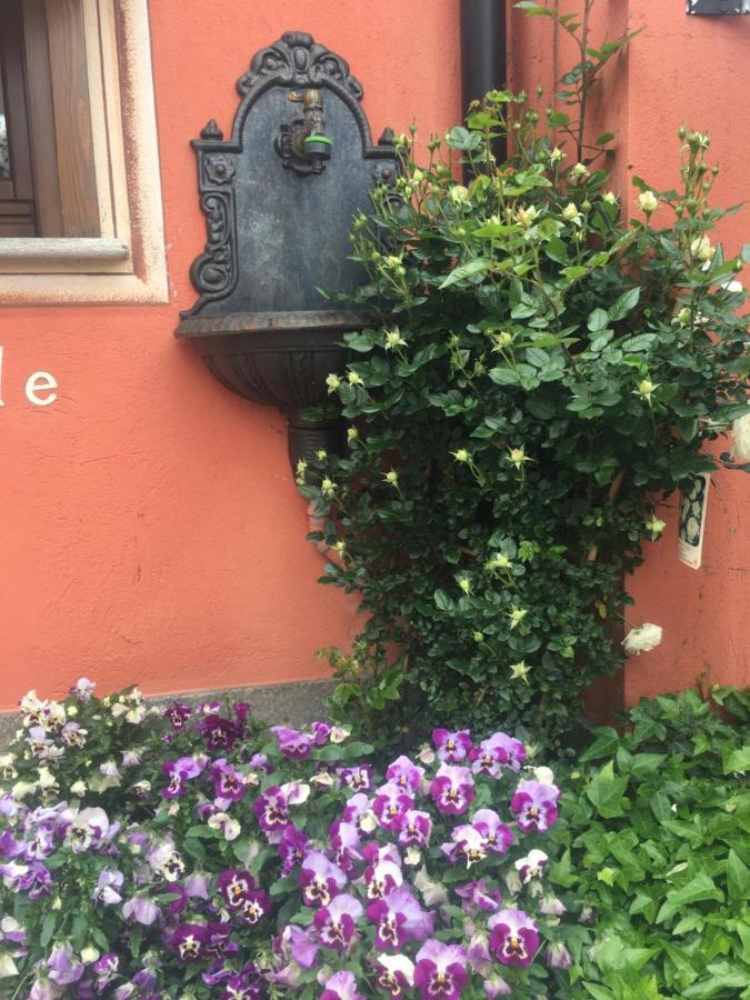 B&B Gira-Sole Cuneo Exterior foto